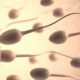 5 Lifestyle Factors that Affect Sperm Quality