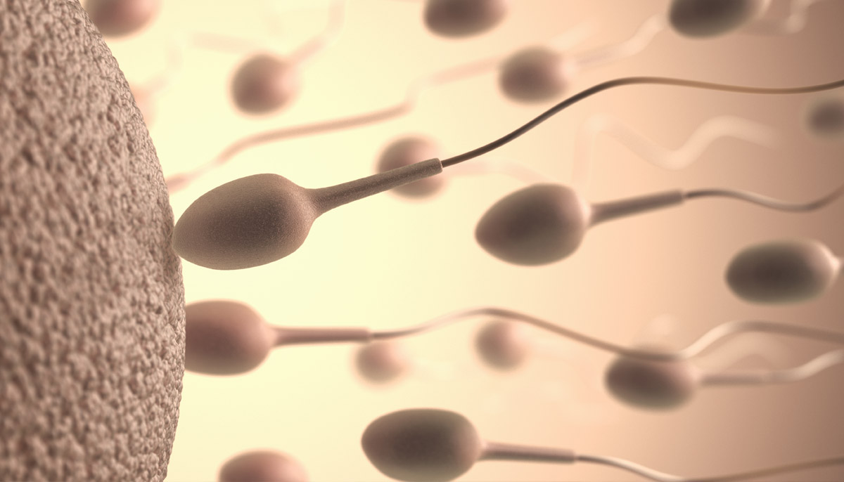 5 LIFESTYLE FACTORS THAT AFFECT SPERM QUALITY