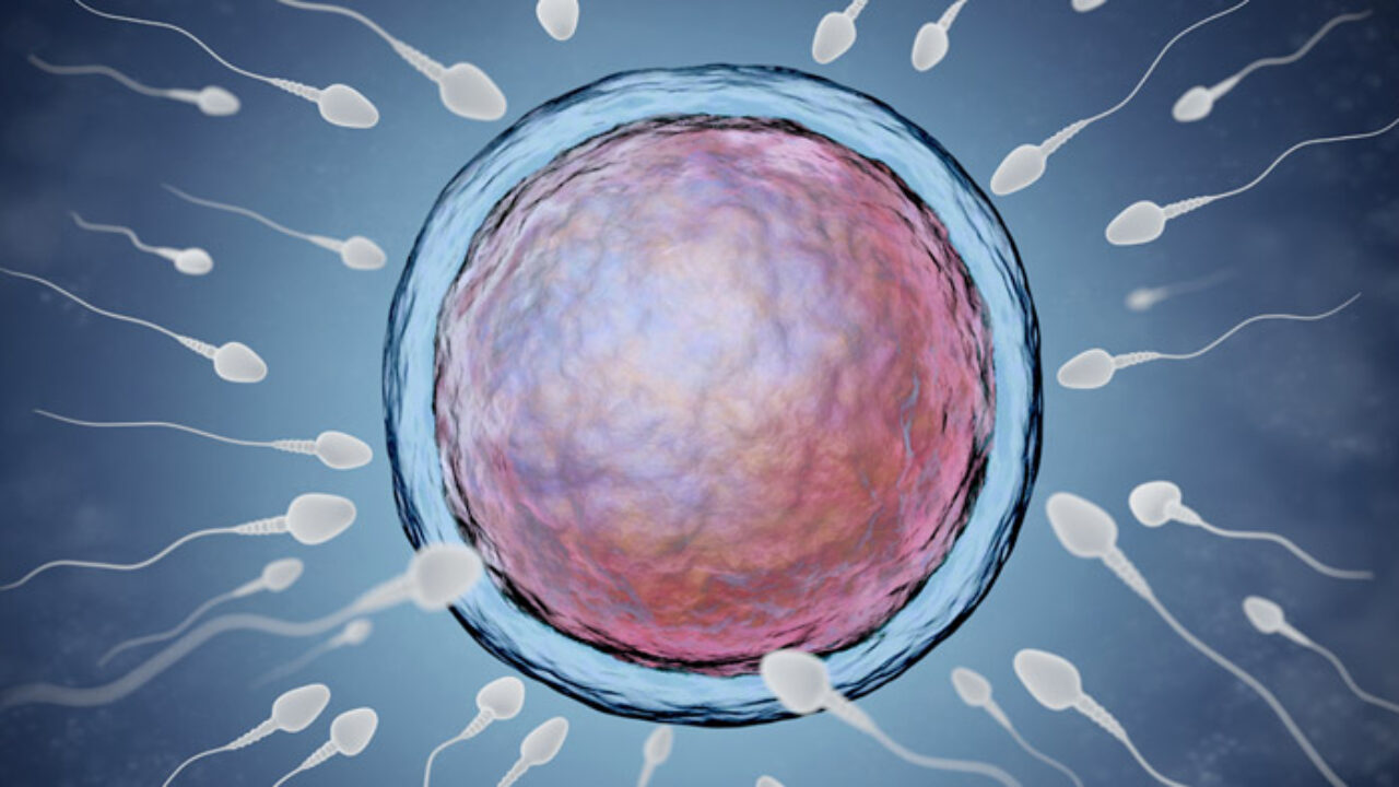 How to Improve Sperm Count and Quality